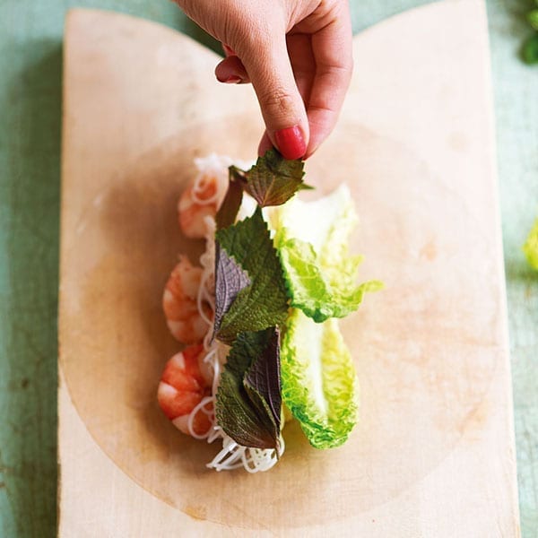 Filling summer roll