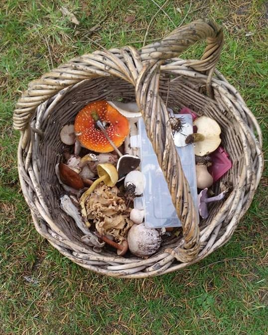 Mushroom foraging with John Wright