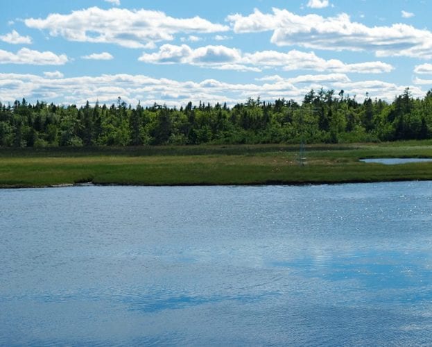 Where to eat in New Brunswick