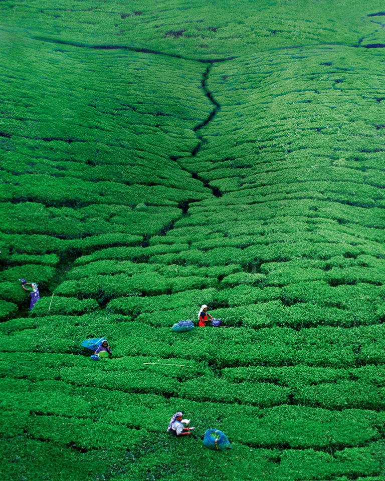 Where to eat in Sri Lanka