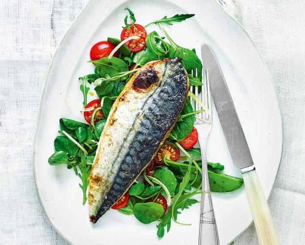 Grilled mackerel salad