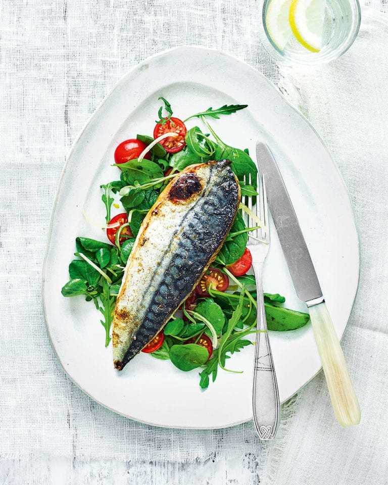 Grilled mackerel with tomato and preserved lemon salad