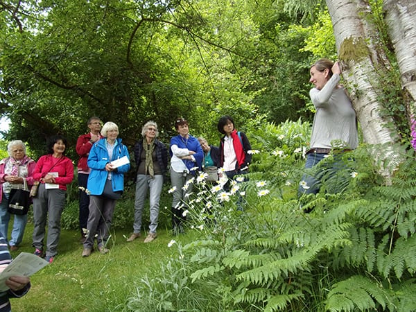 Foraging at nant y bedd