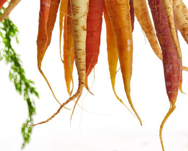 Surplus food waste