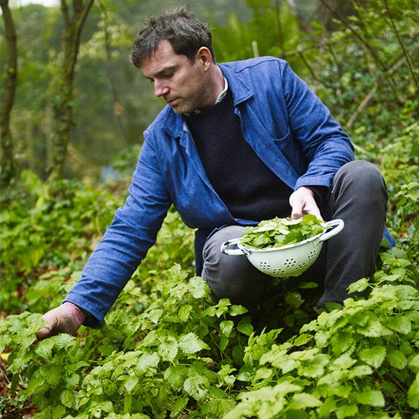 picking nettles