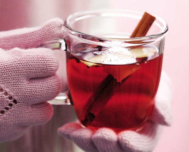 Spiced berry hot toddy