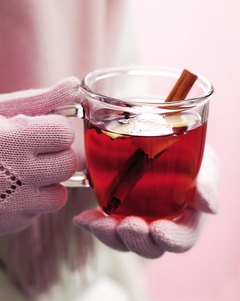 Spiced berry hot toddy