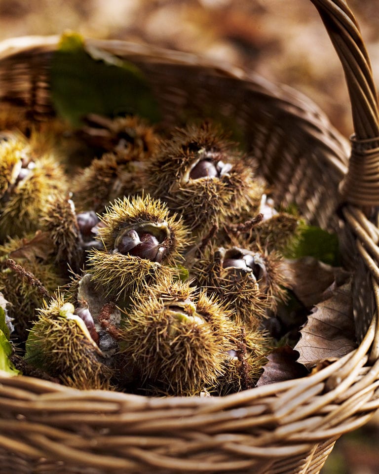 How to cook chestnuts