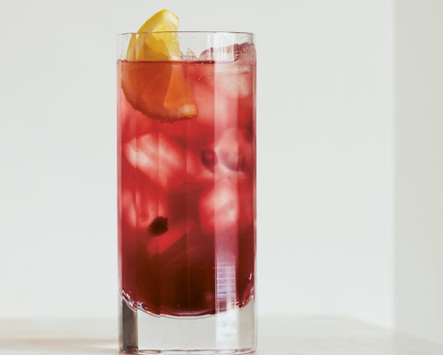 Gin pom