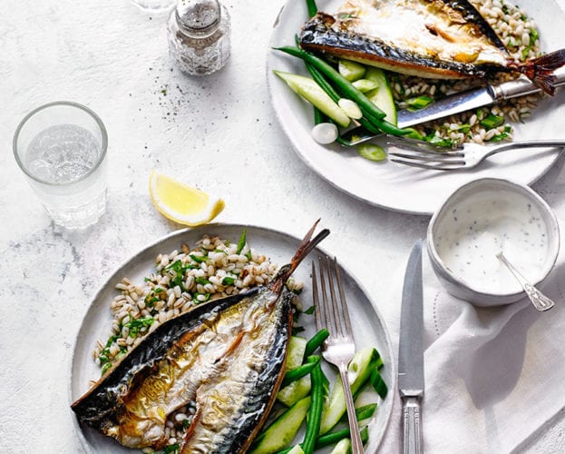 Grilled mackerel with herb yogurt and pearl barley