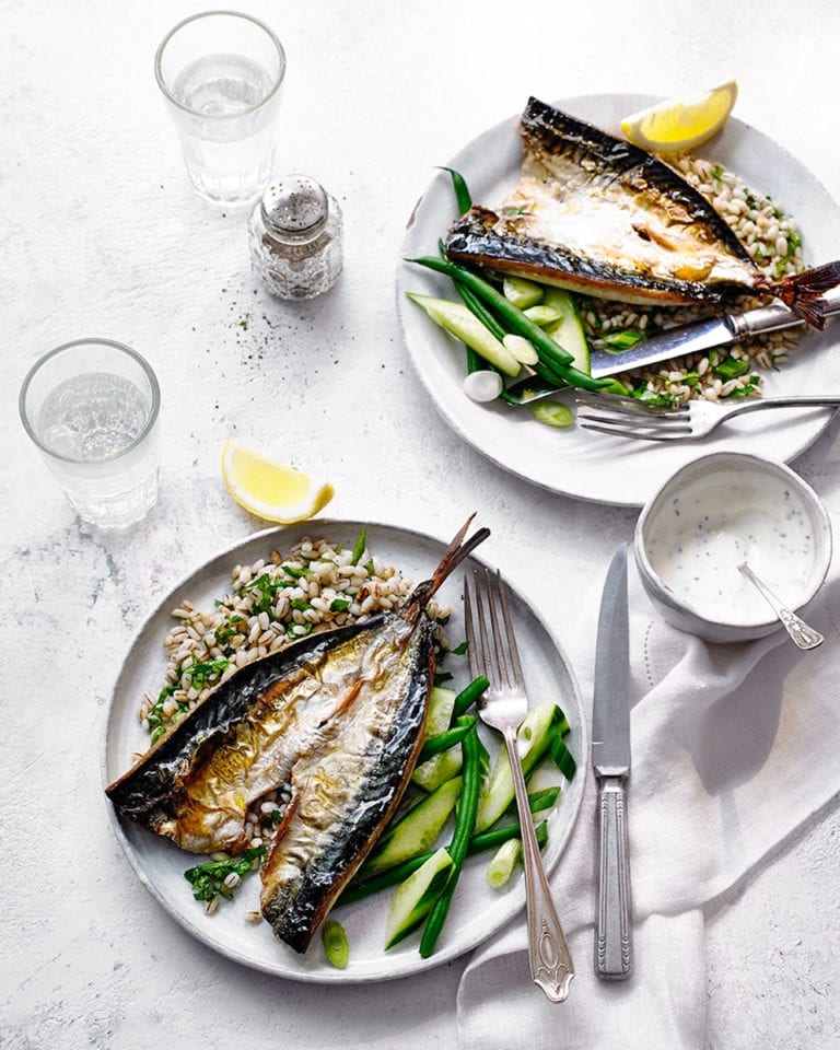 Grilled mackerel with herb yogurt and pearl barley