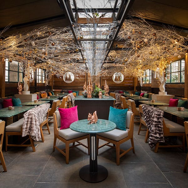the elyx chalet