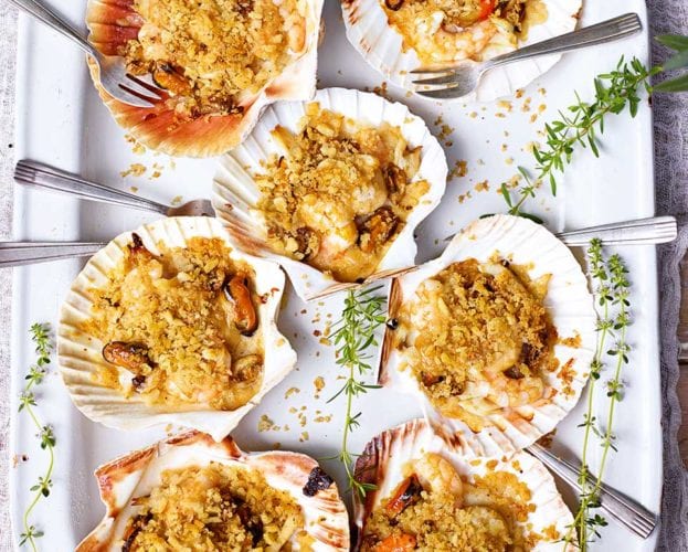 scallop-gratins
