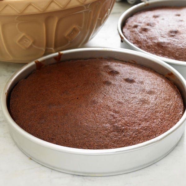 Simple chocolate cake