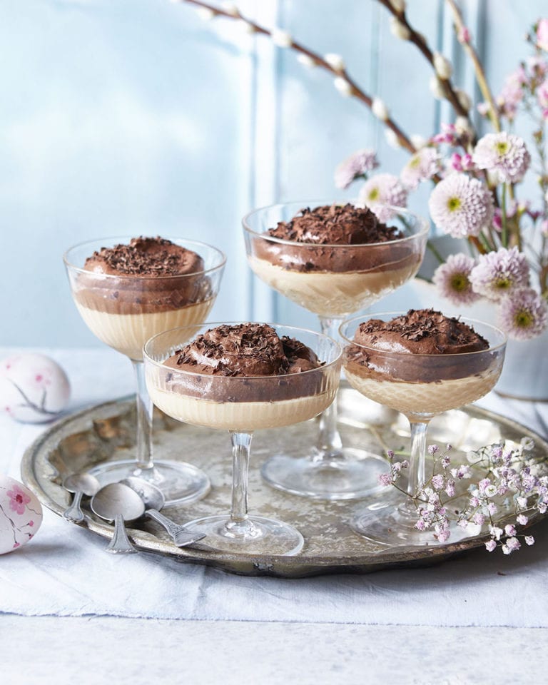 Double-layer custard and chocolate mousse