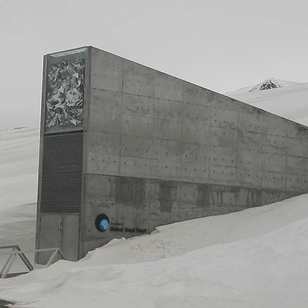 arctic seed vault