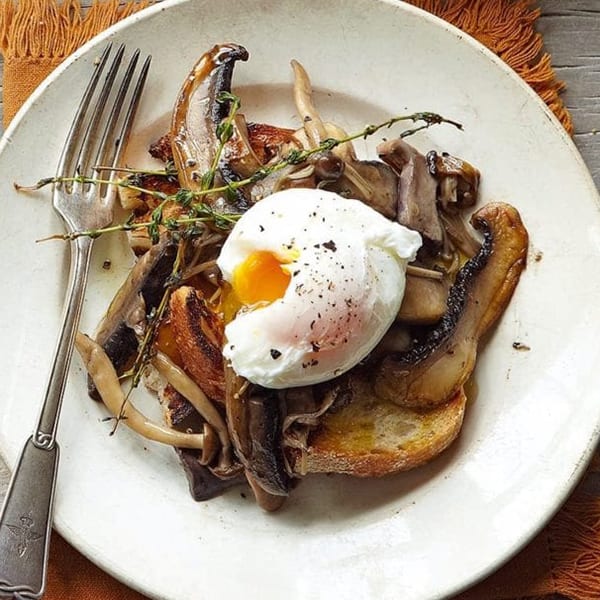 mushrooms on toast