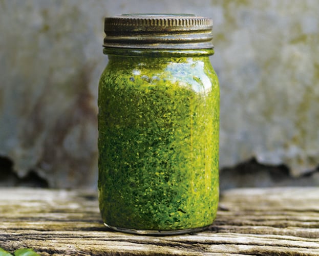 wild garlic and hazelnut pesto