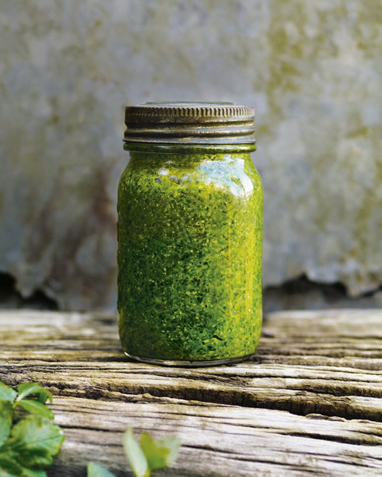 Wild garlic and hazelnut pesto  