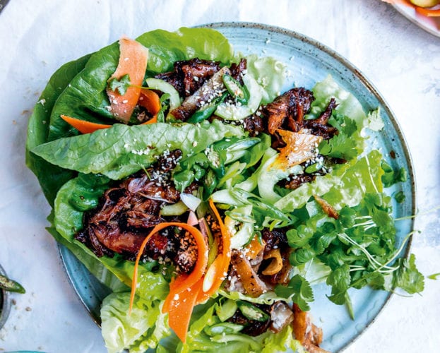 Hoisin duck lettuce wraps