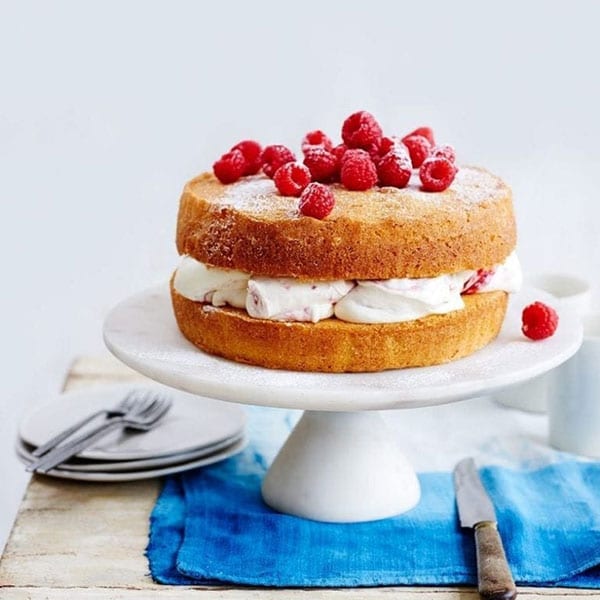 raspberry sponge