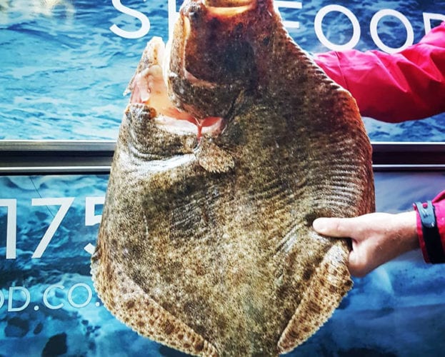 fish deliveries at home