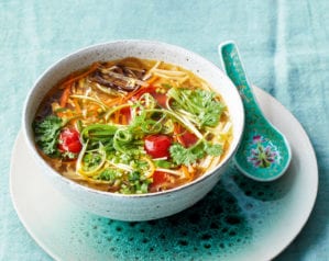 hot and sour soup