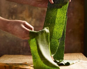 fresh spinach pasta