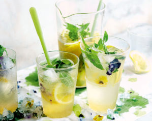 Lemon verbena