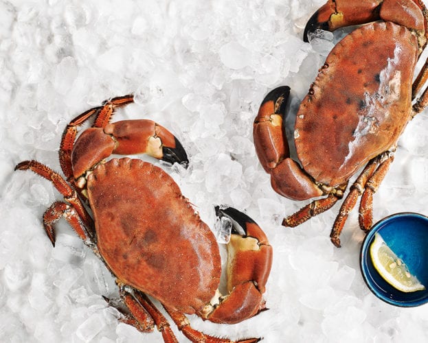 Crab