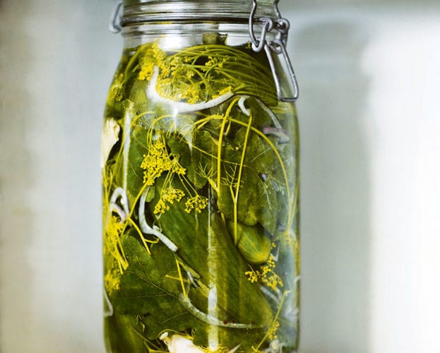 can food boost your immune system