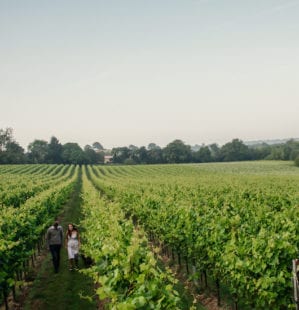 The best vineyards in the UK you can visit