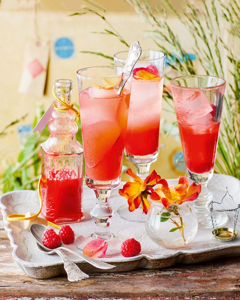 Raspberry and rosewater cordial with fizz