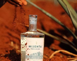 The best tequilas and mezcals to buy and the drinks to make with them