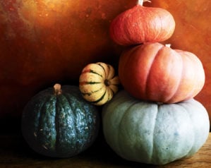 Where to pick your own pumpkins this autumn