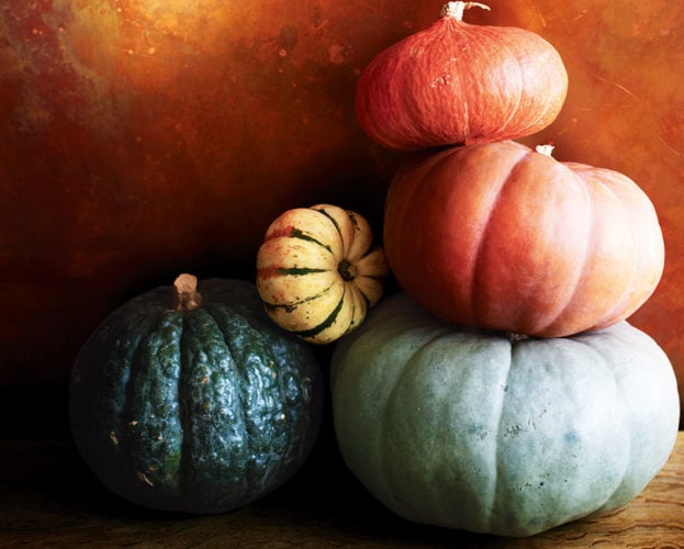 pumpkin patches