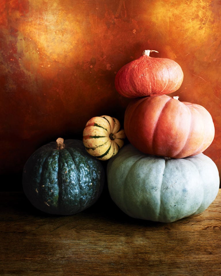 pumpkin patches
