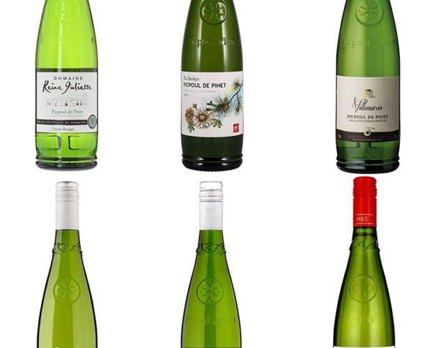 Picpoul