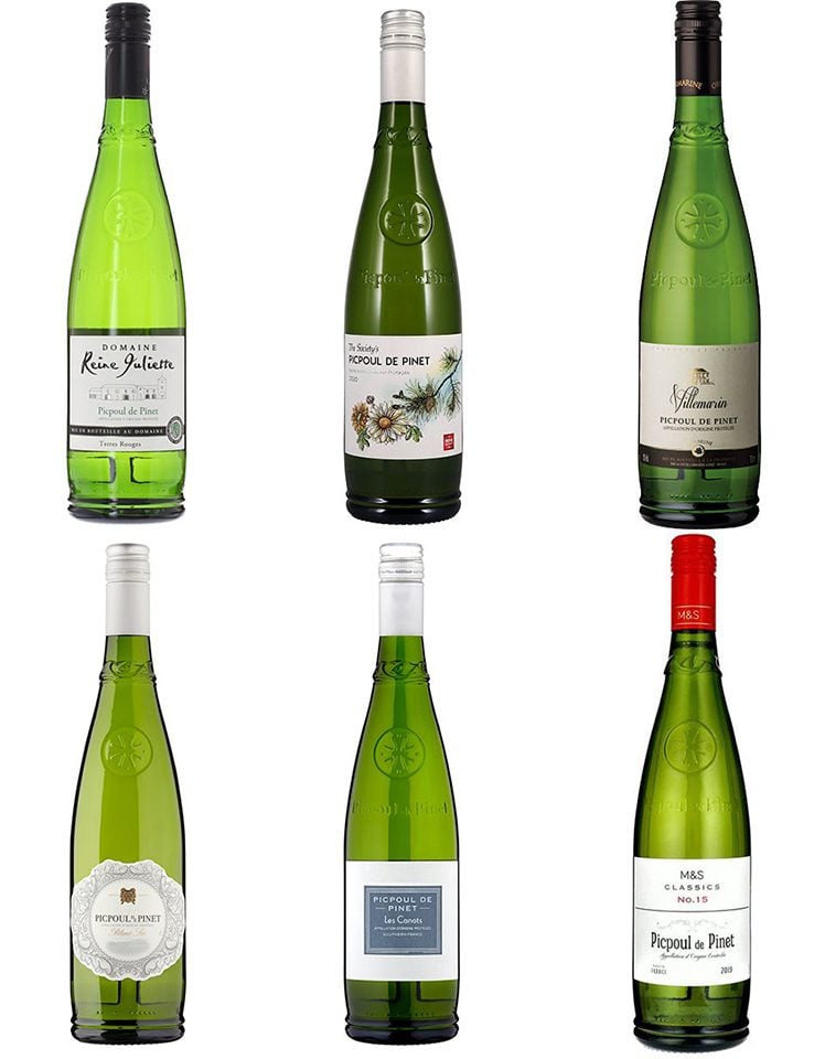 An expert guide to picpoul white wine