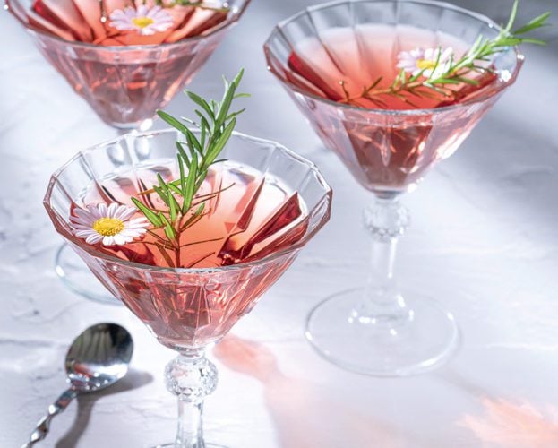 Rhubarb and ginger cocktail