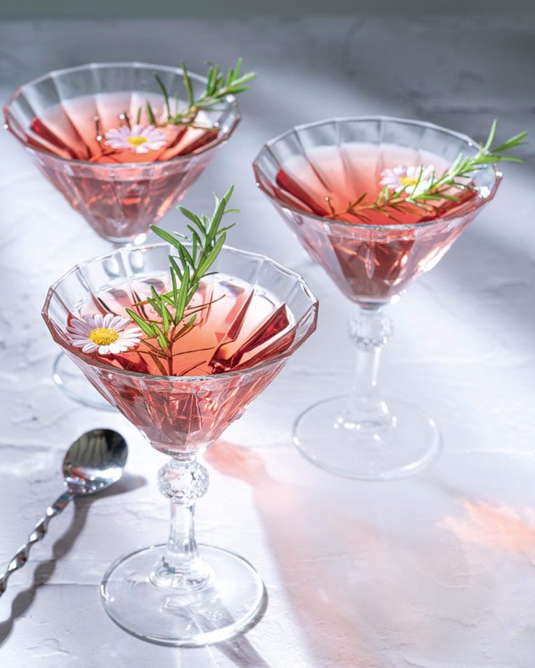 Rhubarb and ginger cocktail