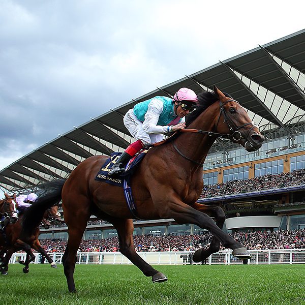 royal ascot