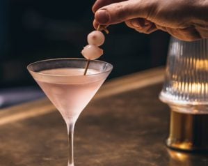 Pink gibson martini