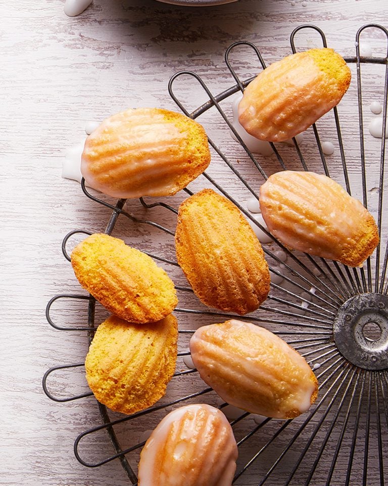 Lemon madeleines with gin and Dubonnet sorbet