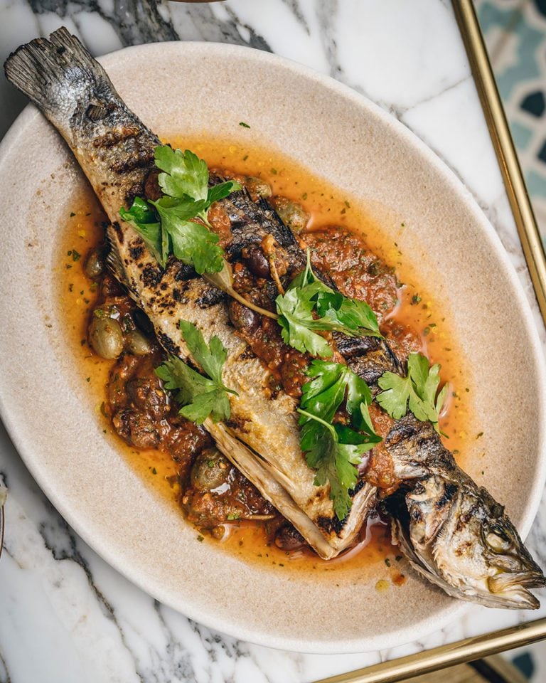 Italian sea bass with tomato sauce