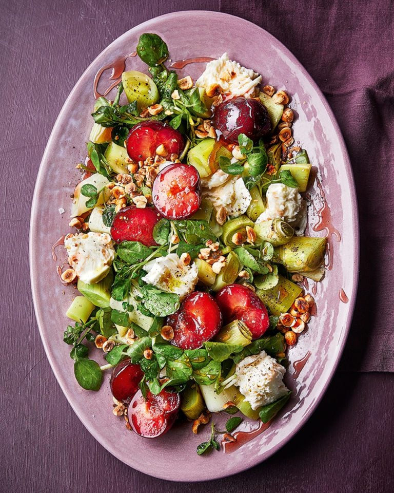 Mozzarella, plum and burnt leek salad