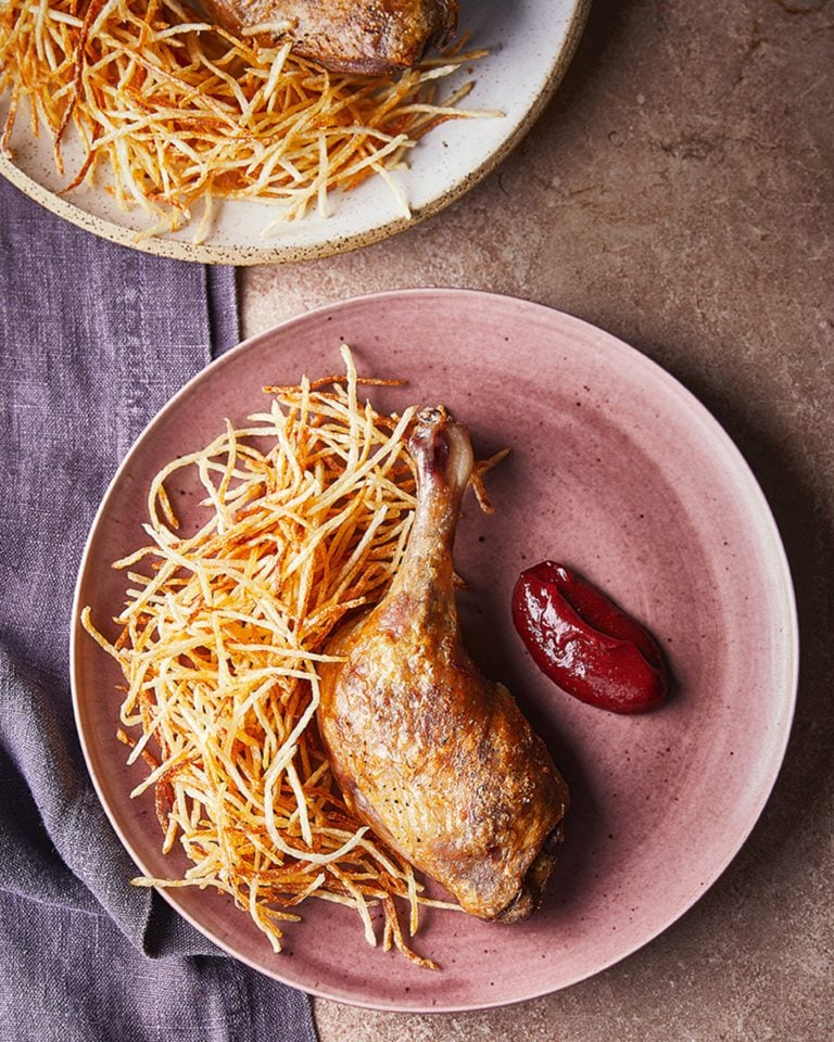 Confit duck leg with shoestring fries and plum ketchup