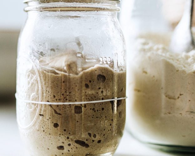 Sourdough starter