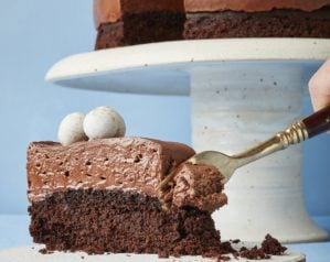 Chocolate mousse cake