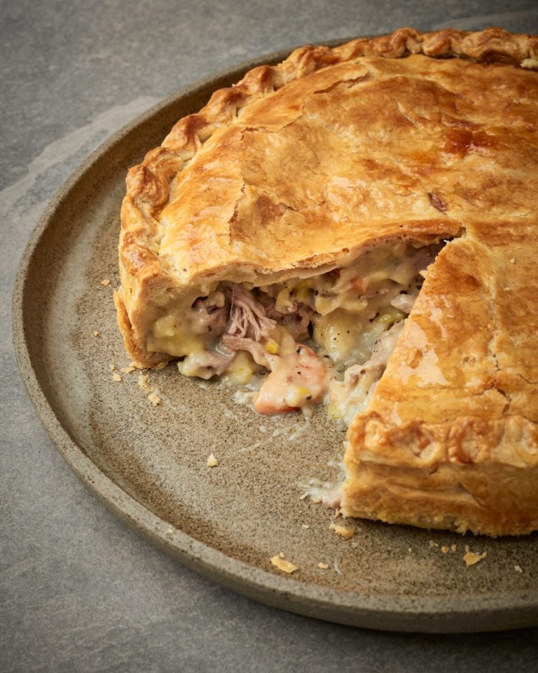 French-style duck pie